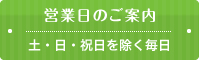 土・日・祝日を除く毎日